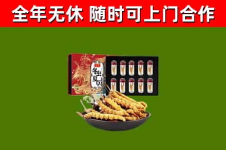白水回收冬虫夏草价格